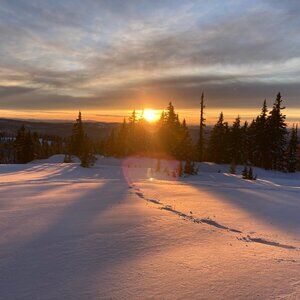 Meet your Posher, Stacie